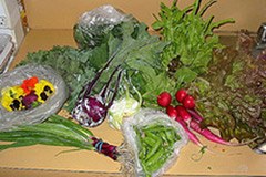 Produits bio : grosse demande - offre régionale insuffisante