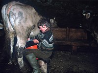 Résolution pour une agriculture de montagne active