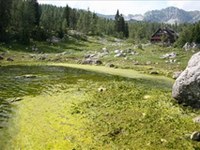 Pollution d'un lac de haute montagne dans la vallée des lacs du Triglav/SI