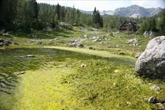 Pollution d'un lac de haute montagne dans la vallée des lacs du Triglav/SI