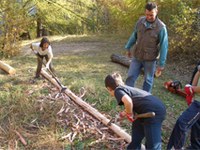 Le Prix alpin pour la forêt de protection 2009 attribué à des projets exemplaires