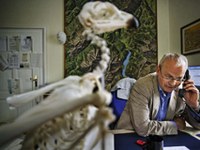 La nature en réseaux : Continum écologique et Econnect