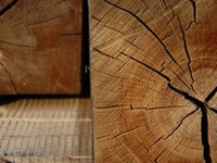 Une conception durable de l'économie