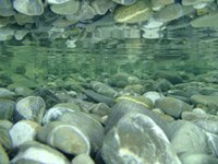 Fonds publics et centrales électriques en zones sensibles