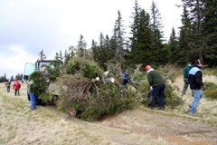 Slovénie : préserver le paysage rural des Préalpes