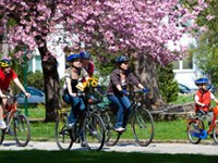 Regard croisé: autosuffisance énergétique - la voie choisie par les communes clairvoyantes