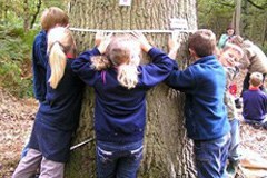 Réseau de communes : de nouvelles voies pour lutter contre le changement climatique