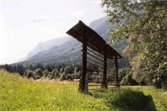 Kranjska Gora/S : À vos marques. Prêts. Au vert.