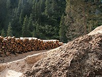 Un Prix pour les forêts de protection