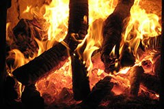 « L’Autriche doit repenser l’utilisation de la biomasse »