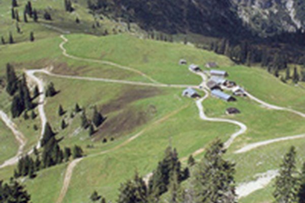 Promotion de l'économie alpestre