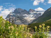 Au chevet des derniers glaciers
