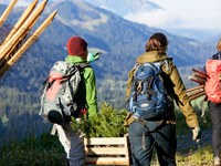 Crise climatique : des solutions fondées sur la nature