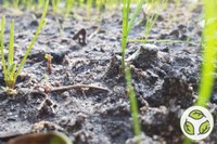Économiser les terres, sauver les sols