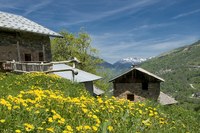 La protection de la nature au service des Hommes