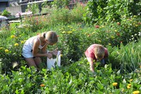 La protection de la nature au service du bien commun