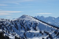 Le Plan alpin bavarois est en danger