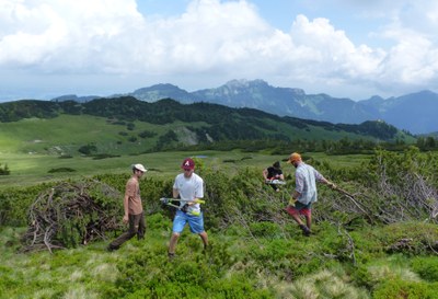 Participation citoyenne : nous gagnons du terrain