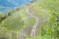 Pesticides en montagne