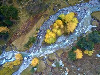 Préserver et renaturer les torrents de montagne