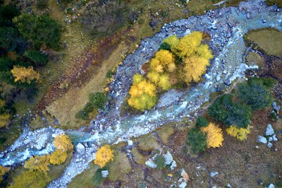 Préserver et renaturer les torrents de montagne
