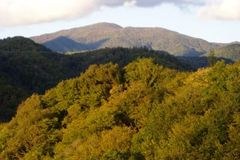 Resolution on the role of local government and administration in sustainable development