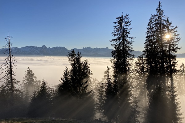 Les paysages alpins ne sont pas renouvelables !