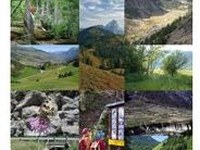 Plate-forme Réseau écologique