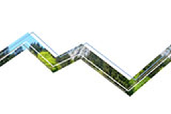 L'Economie forestière face au changement climatique