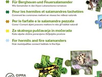 Pour les hermites et salamandres tachetées