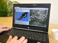 Interaktive Alpenkarte