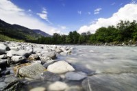 Convenzione delle Alpi