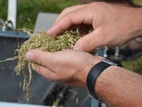 Incrementare la diversità naturale: le regioni pilota condividono esperienze