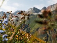 La biodiversità necessita di una politica coraggiosa e di un’attuazione rigorosa