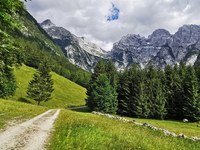 La Via Alpina ha bisogno di te!