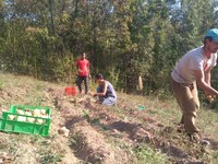 Curare paesaggi e relazioni