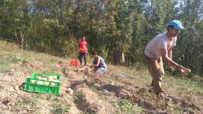 Curare paesaggi e relazioni