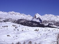 Appello delle ONG per il Parco Nazionale del Tricorno