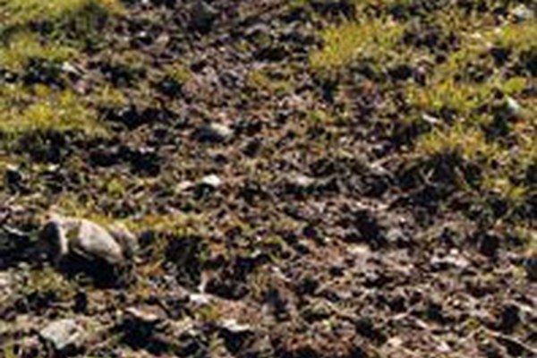 Convegno internazionale sulle problematiche dell'erosione