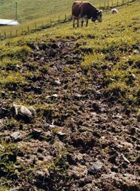 Convegno internazionale sulle problematiche dell'erosione