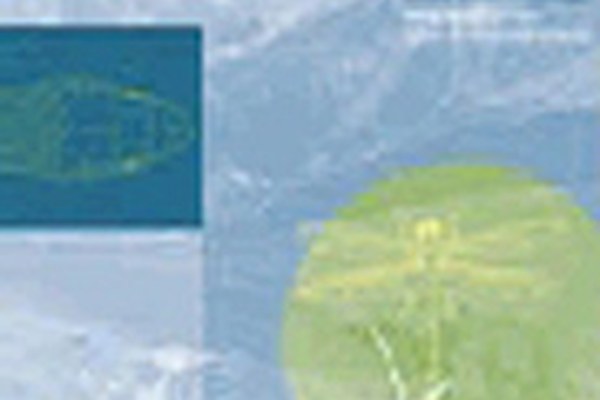 Nuove pubblicazioni sulla biodiversità