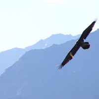 Scambio transalpino per la ricerca sulle aree protette