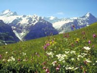 Premio del turismo per i paesaggi culturali