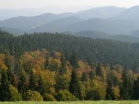 In vigore la Convenzione dei Carpazi