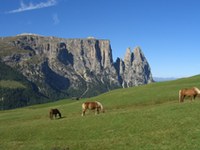 Giralpeggi: il turismo degli alpeggi