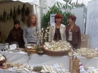 Novità da un progetto DYNALP2: Alchemilla - l'anima delle piante