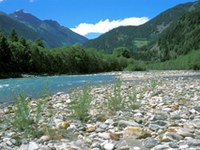 Lacune in Austria nella protezione della natura