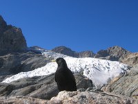 Settimana alpina 2008 - Innovare [nel]le Alpi