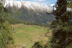 Saperi vissuti nelle Alpi