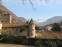 Manifestazione "Sangue freddo sotto l'effetto serra! - Il cambiamento climatico richiede azioni consapevoli"